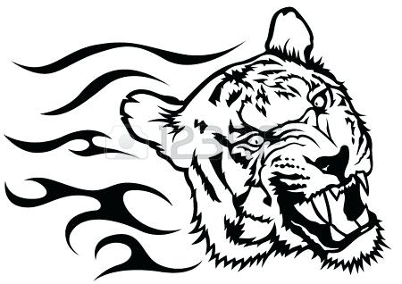 450x318 Drawings Of Tigers