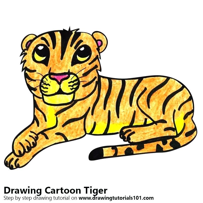 800x800 How To Draw Tiger