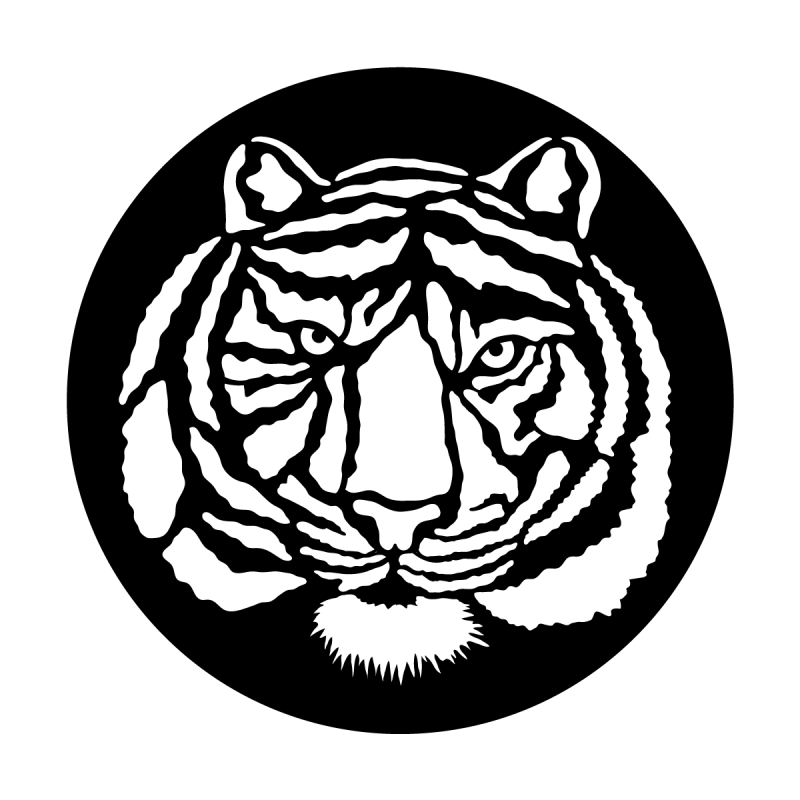 800x800 Collection Of Free Environment Drawing Tiger Download On Ui Ex