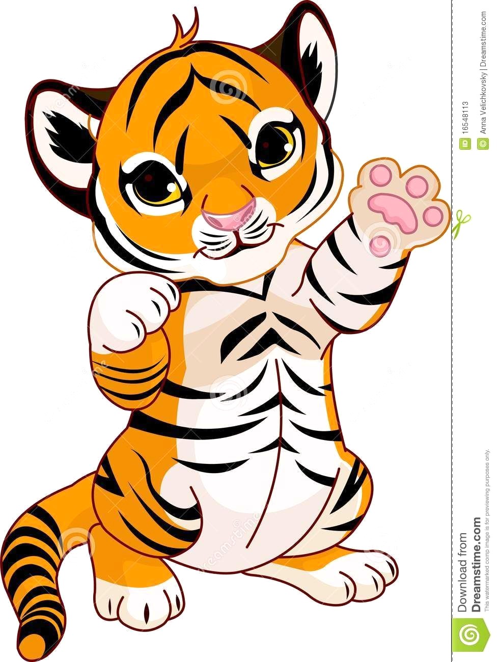 976x1300 Cute Tiger Drawing