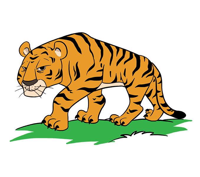678x600 How To Draw A Cartoon Tiger In A Few Easy Steps Easy Drawing Guides