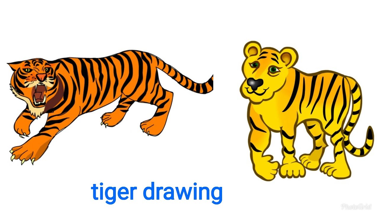 1280x720 How To Draw Tiger Step