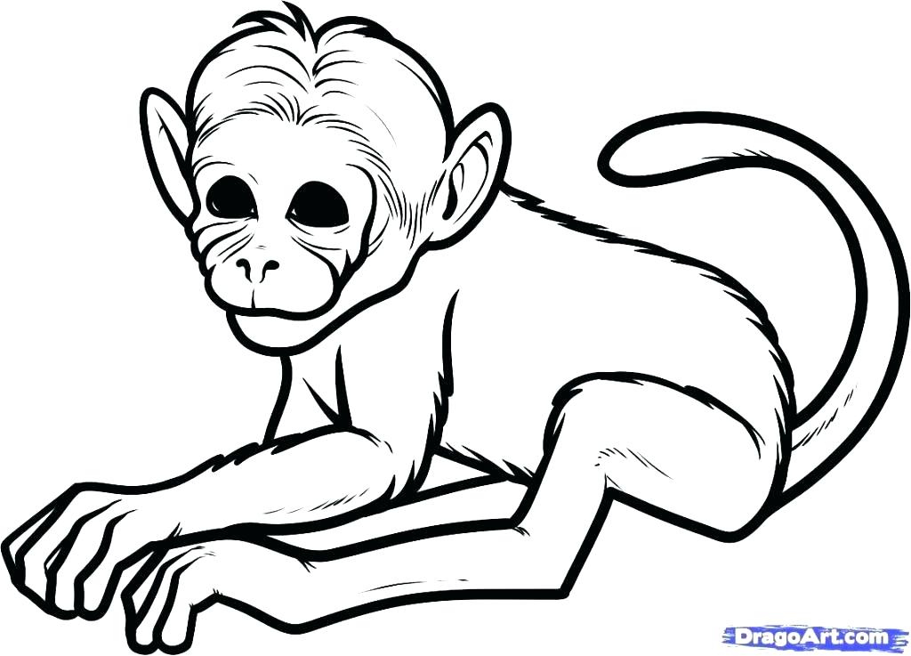 1024x737 Monkey Drawing Easy Baby Drawing Easy Monkey How To Draw A Step