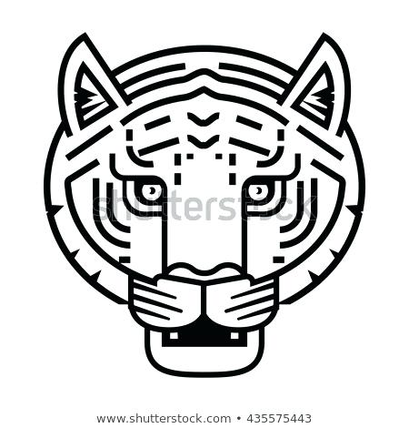 450x470 Tiger Outline Clip Art Library Face Drawing Easy