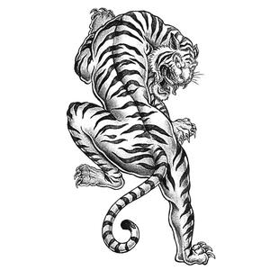300x300 Tiger Tattoo Coloring