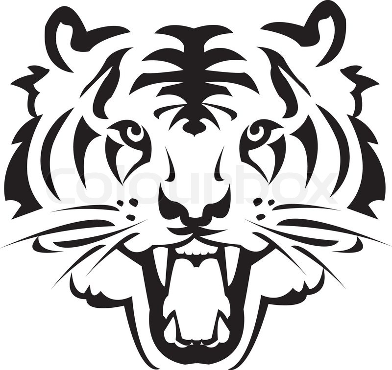 800x756 Tiger Tattoo Vectors Stock Vector Colourbox