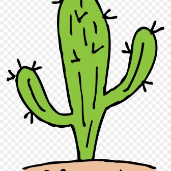 336x336 Cactus Drawing Tumblr Baby Cute Step Saguaro Blossom Autocad