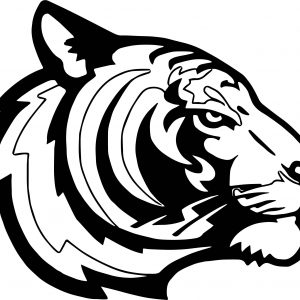 300x300 Tiger Face Drawing Refrence Tiger Face Drawing At Getdrawings