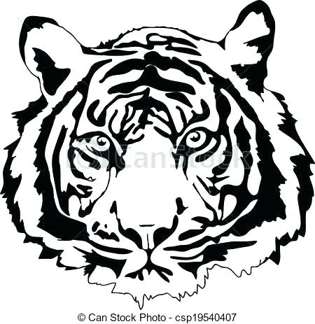 Tiger Face Drawing | Free download on ClipArtMag