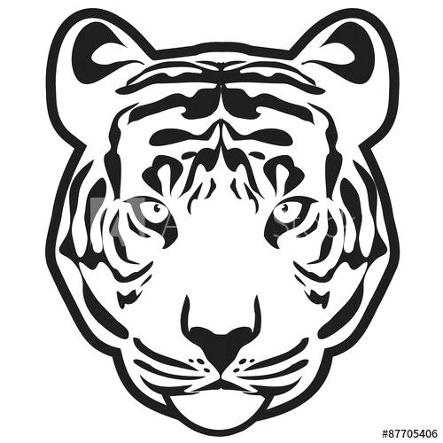 500x500 Tiger Face Outline Tiger Head Outline Illustration Vector Tiger