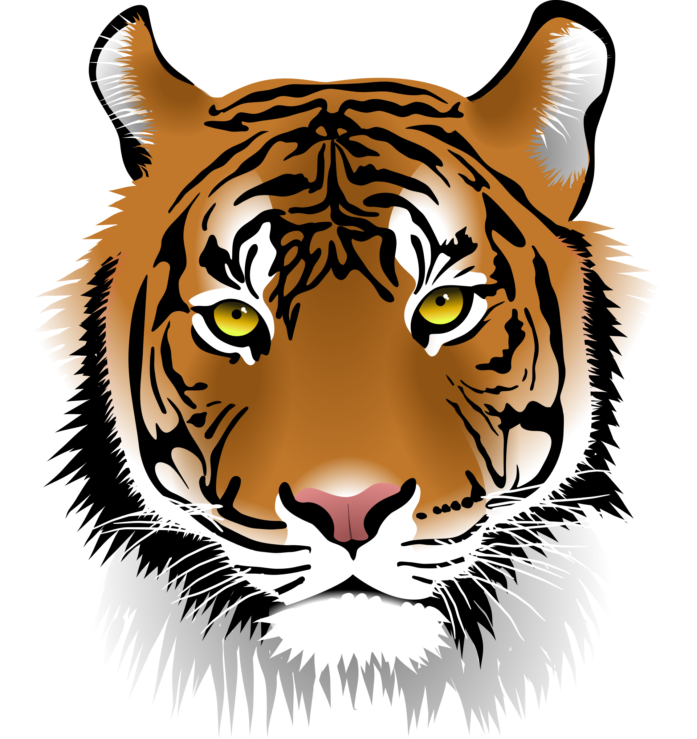 2262x2400 Tigers Drawing Front Face Transparent Png Clipart Free Download