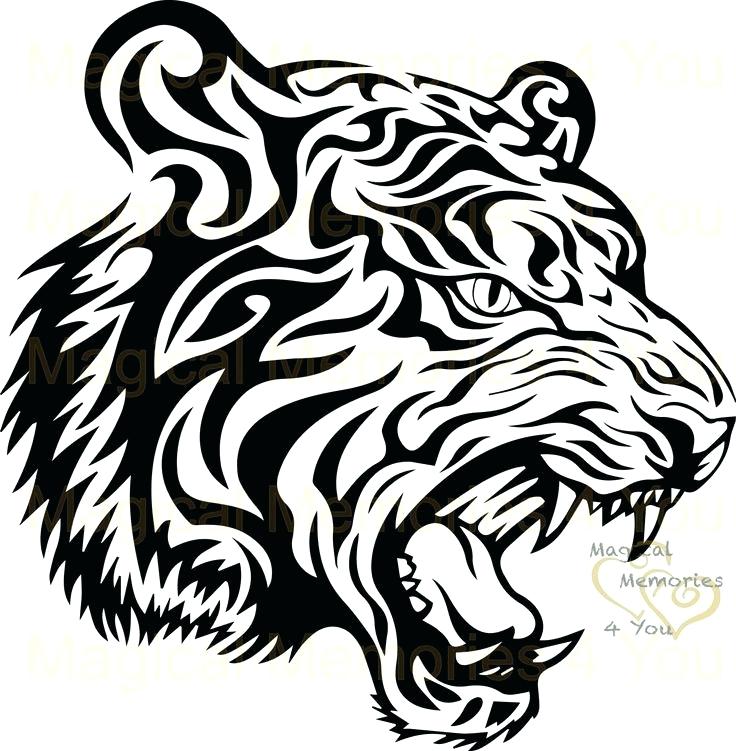 736x751 Draw Tiger Face