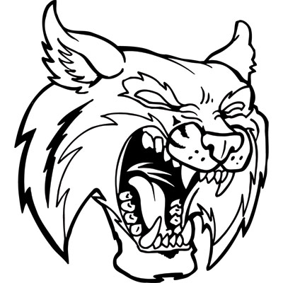 400x400 How To Draw A Wildcat Tiger Lynx Sketch Step Step In Pencil How