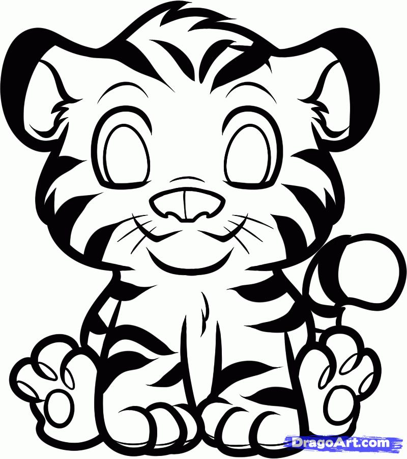 800x901 How To Draw A Little Tiger Cub With A Pencil Step