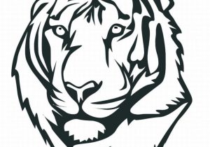 300x210 Picture Of A Tiger Face Drawing Easy How To Draw A Simple Tiger