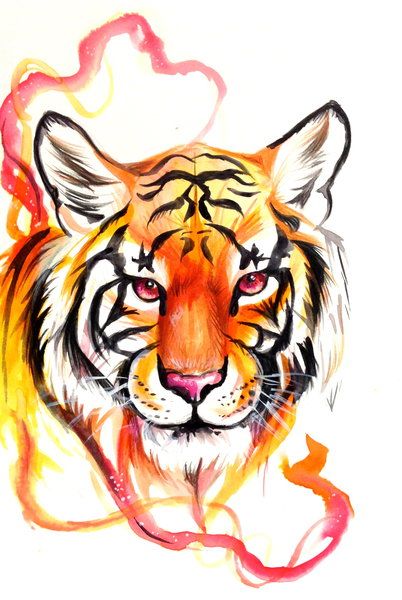 402x600 Drawing Ideas Tiger Art, Tiger