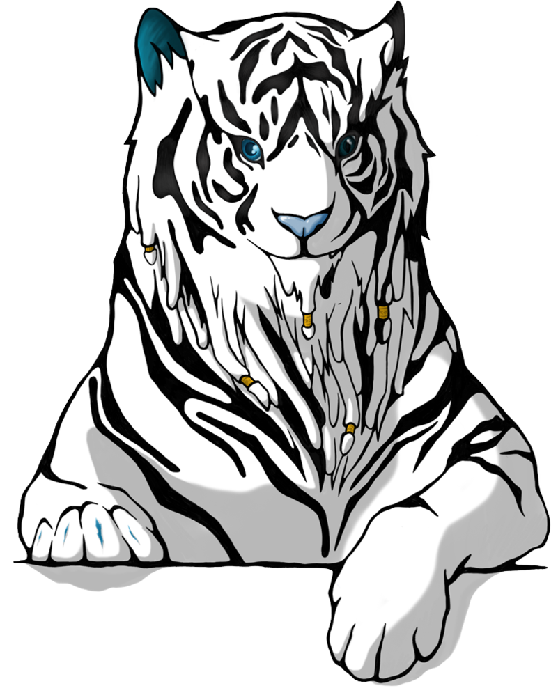 801x998 Tigers Drawing Snow Tiger Transparent Png Clipart Free Download