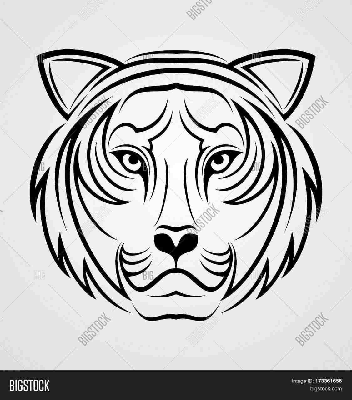 1126x1280 Of Black And Realistic Rhcollectioncom Pencil White Tiger Face