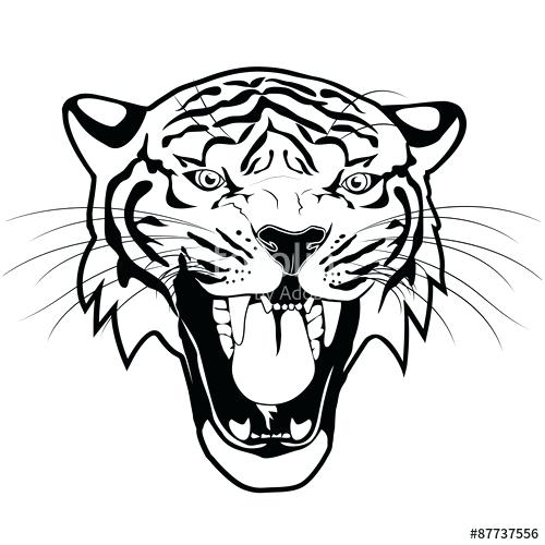 Tiger Face Outline Drawing Free Download On Clipartmag