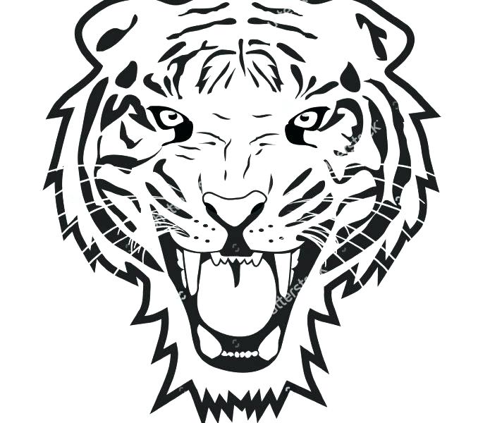 678x600 Tiger Outline Drawing At Free For Personal Use Face Picture