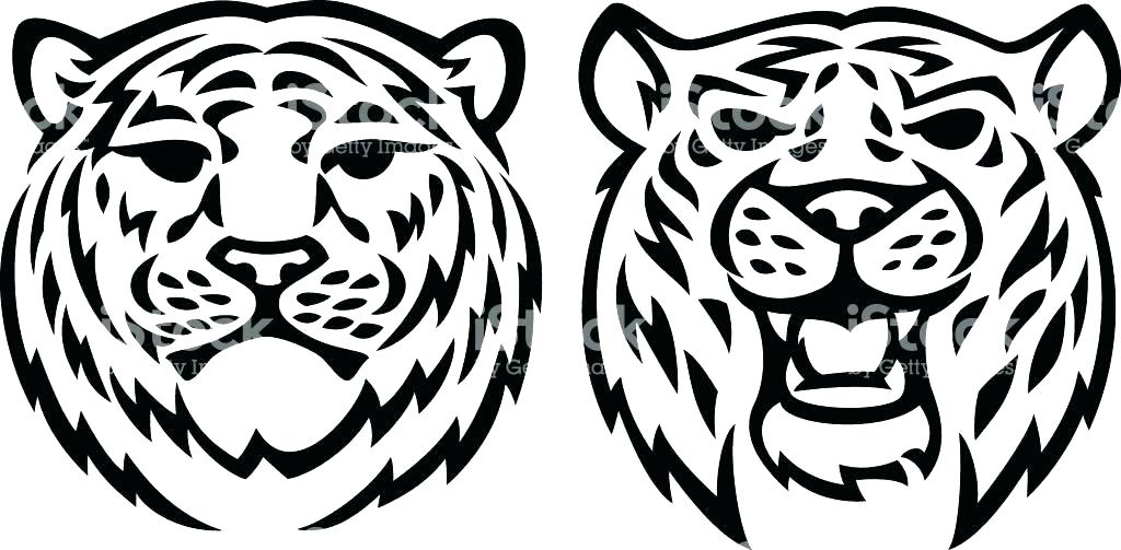 1024x503 Tiger Outline Drawing Best Picture To Color Face