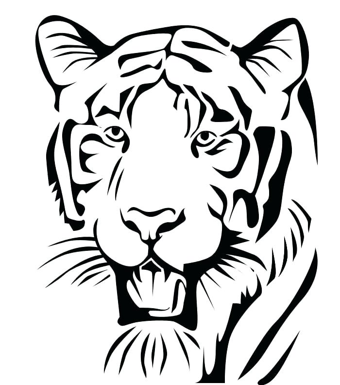 Tiger Face Outline Drawing Free Download On Clipartmag