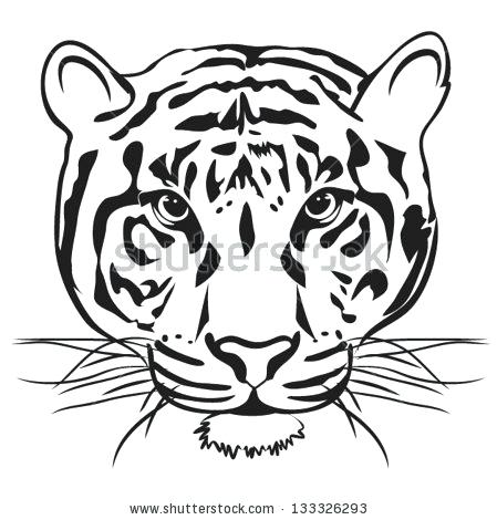 Tiger Face Outline Drawing | Free download on ClipArtMag