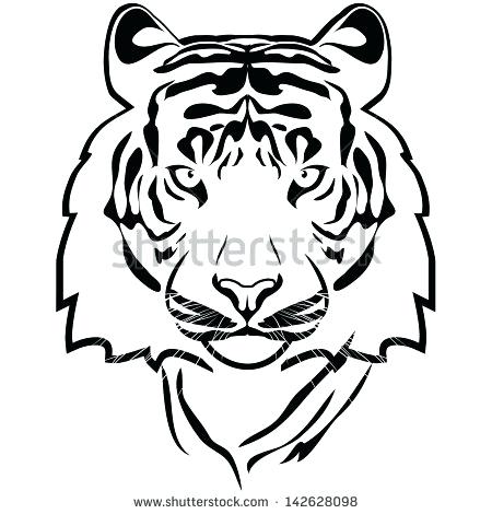 Tiger Face Outline Drawing 