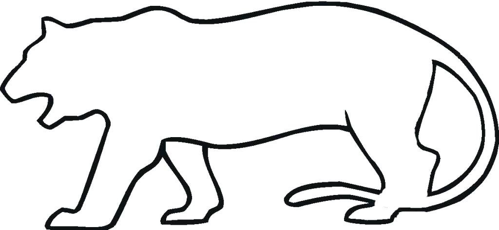 1024x473 Outline Of Tiger Tiger Outline White Tiger Outline Images