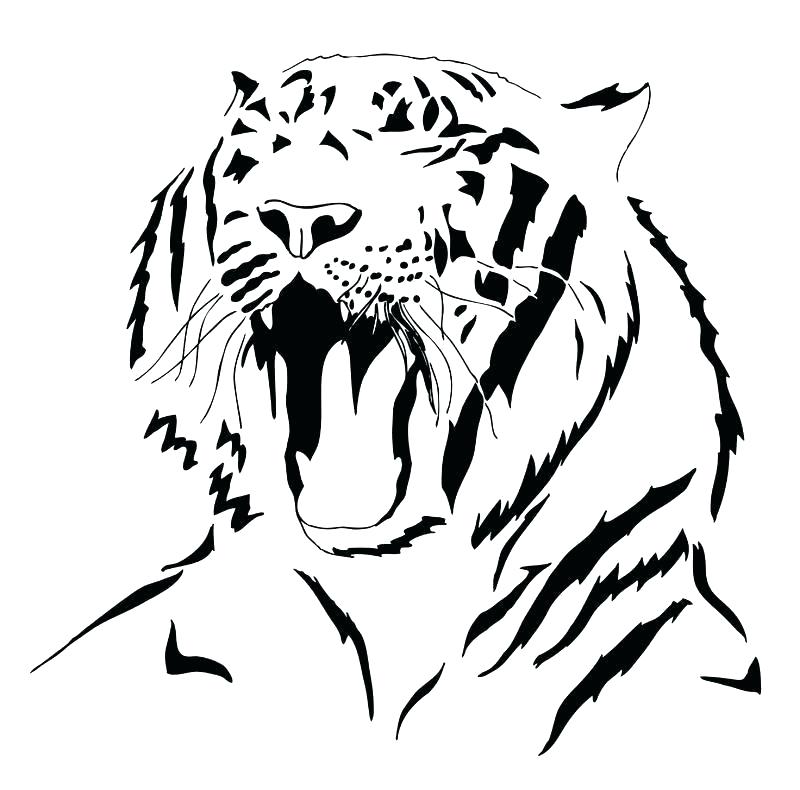 800x790 Tiger Outlines Tiger Head Drawing Outline
