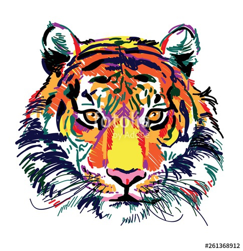 485x500 Tiger Head Multicolored Sketch Indian, Amur Tiger Drawing