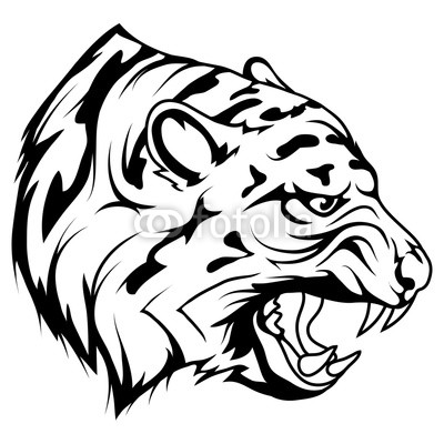 400x400 Tiger Head Vector Drawing, Tiger Face Drawing Sketch, Tiger Head