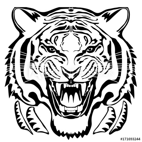 500x500 Angry Tiger Head Hand Drawn Vector Graphic Black Drawing