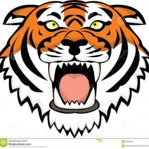 300x300 Best Tiger Head Clip Art Drawing Lazttweet