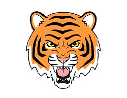 250x193 How To Draw A Tiger Head