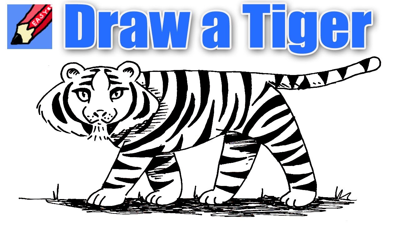 1280x720 How To Draw A Tiger Real Easy