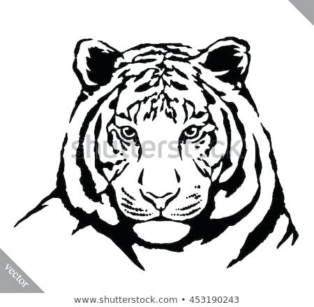 450x439 Draw Tiger Face