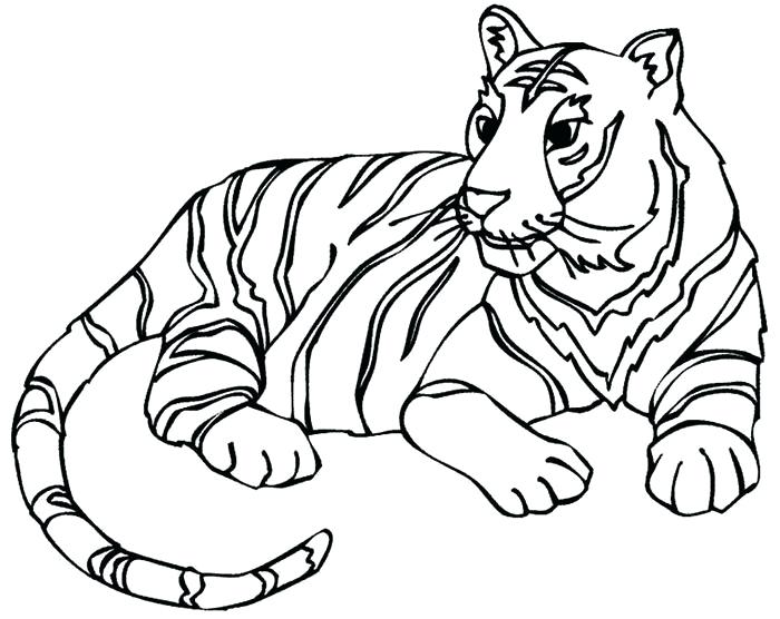 700x556 Drawings Of Tigers