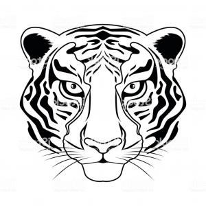 300x300 Stock Illustration Tiger Head Vector Illustration Black White