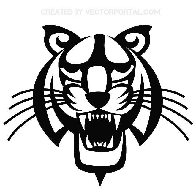 660x660 Tiger Drawing Free Vector