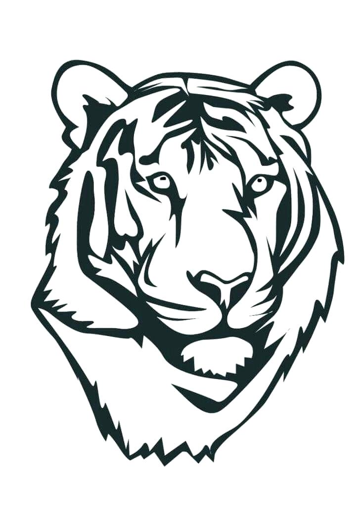 Tiger Head Line Drawing | Free download on ClipArtMag