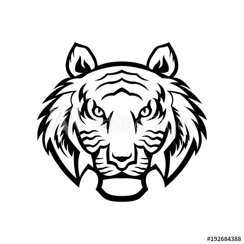 Tiger Head Line Drawing | Free download on ClipArtMag