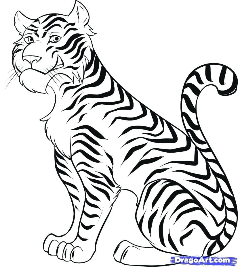 827x929 How To Draw Tiger