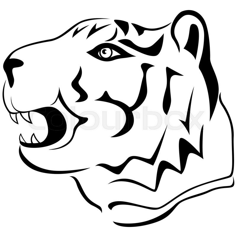 800x800 Adult Tiger Head Profile, Hand Drawing Cartoon Outline Isolated