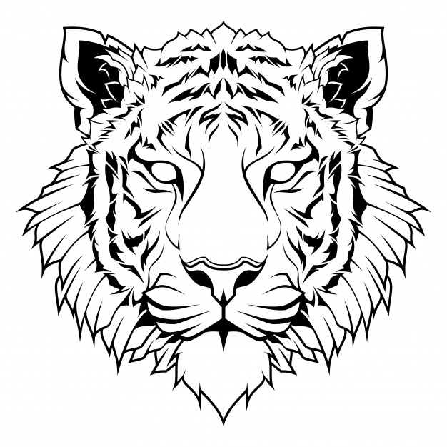 626x626 Black Tiger Vectors, Photos And Free Download