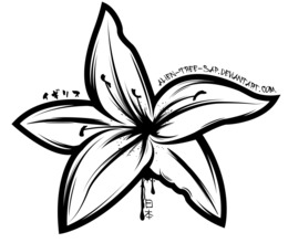 260x220 free download tiger lily lilium 'stargazer' free clip art