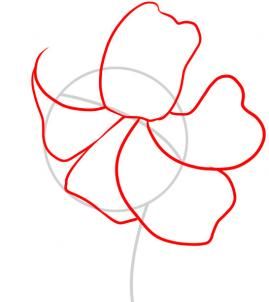 269x302 How To Draw A Tiger Lily This Is A Great Place For Art