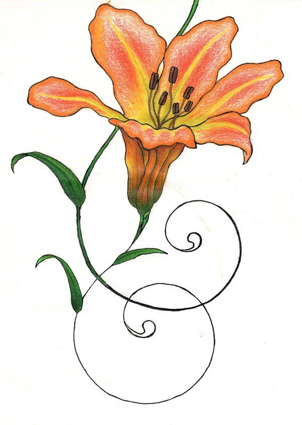 600x844 Tiger Lily Phase Orange