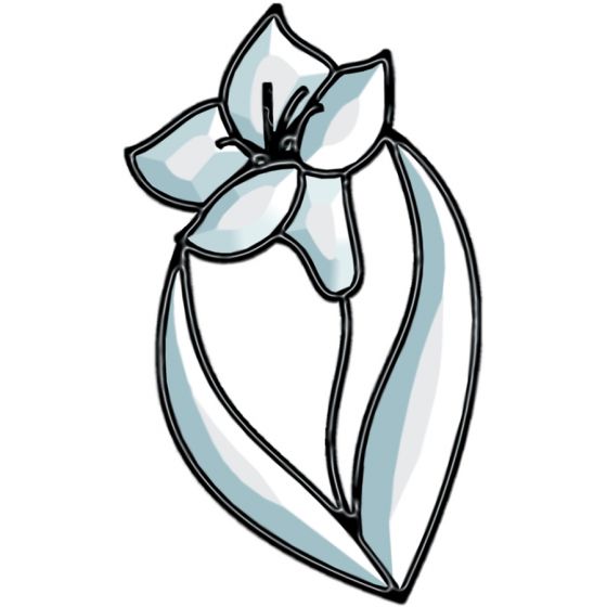 560x560 tiger lily bevel cluster, x