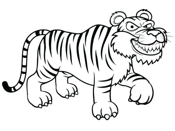 560x420 Tiger Outline